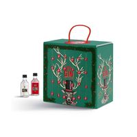 CALENDARIO DELL'AVVENTO CON GIN